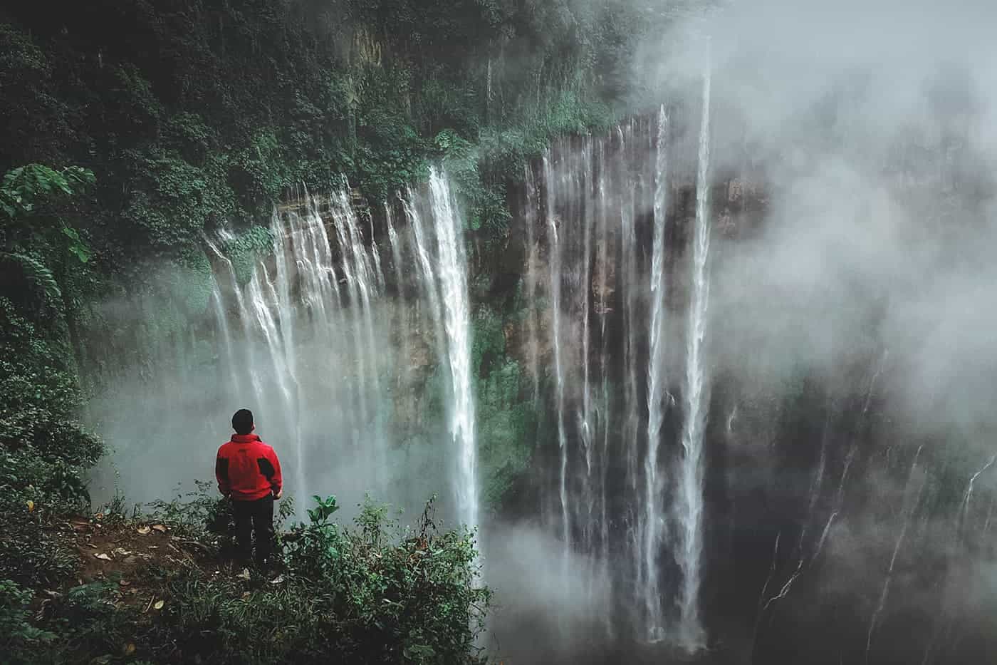 You are currently viewing A must-see attraction for your next visit!