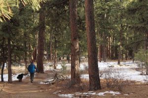 Lire la suite à propos de l’article 5 Reasons why fall camping is the best